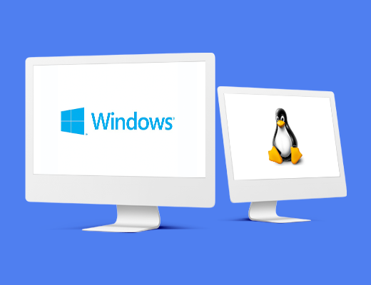 Servidores Windows e Linux Servidores Windows e Linux